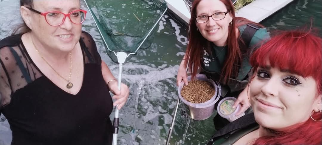 Volunteers by a pond with fish food