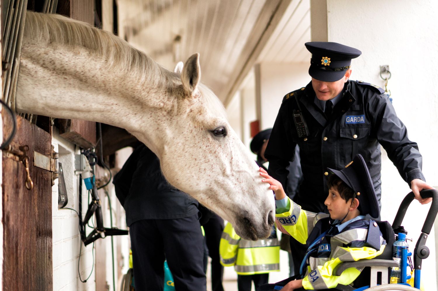 child and horse