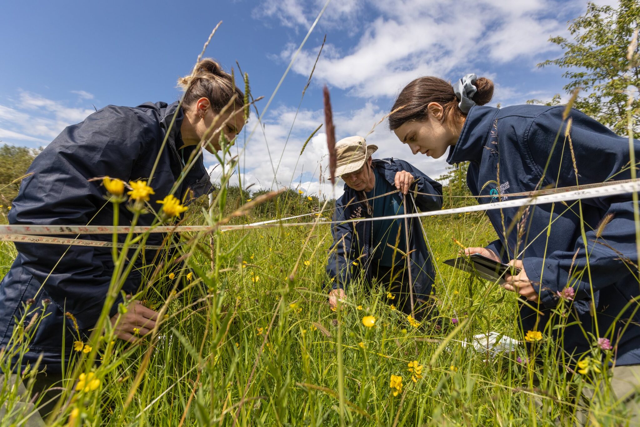 The Countryside Regeneration Trust1