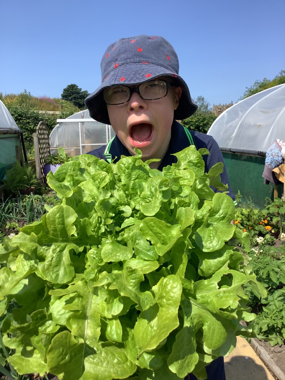 Somone holding a bunch of salad leaves fresh from a garden