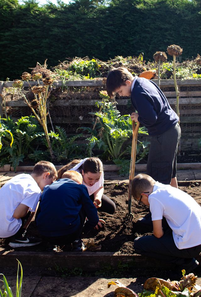 a group of people gardening