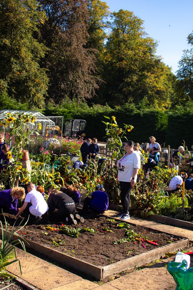 a group of people gardening