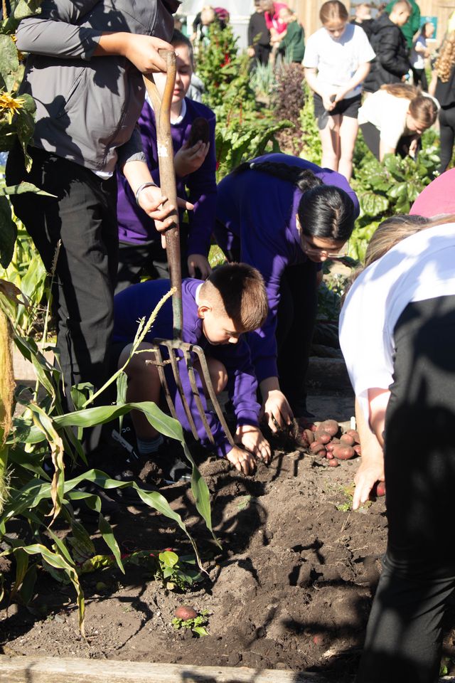 a group of people gardening
