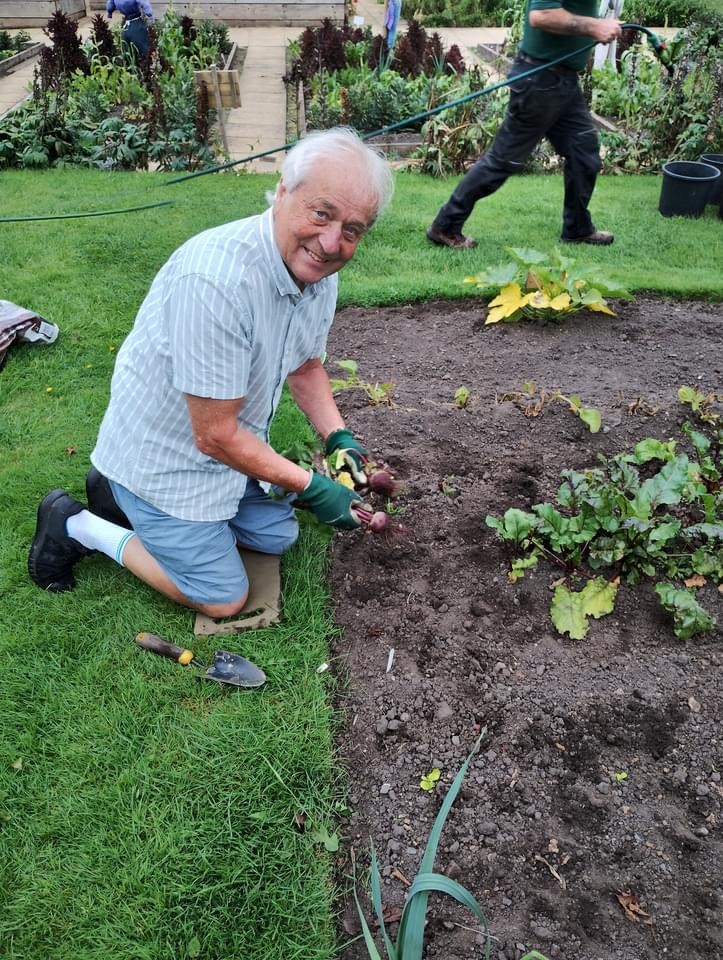 A person gardening in a vegtable bed