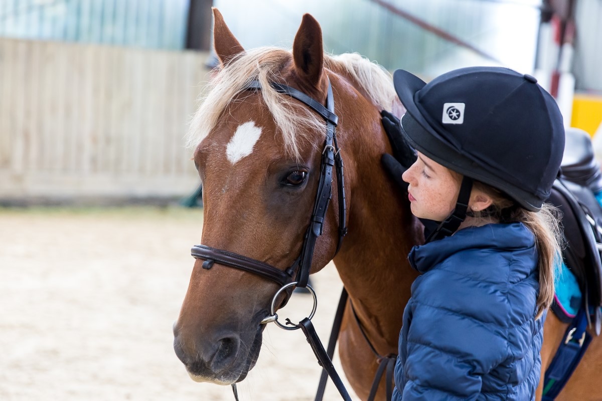 Young horse rider and horse