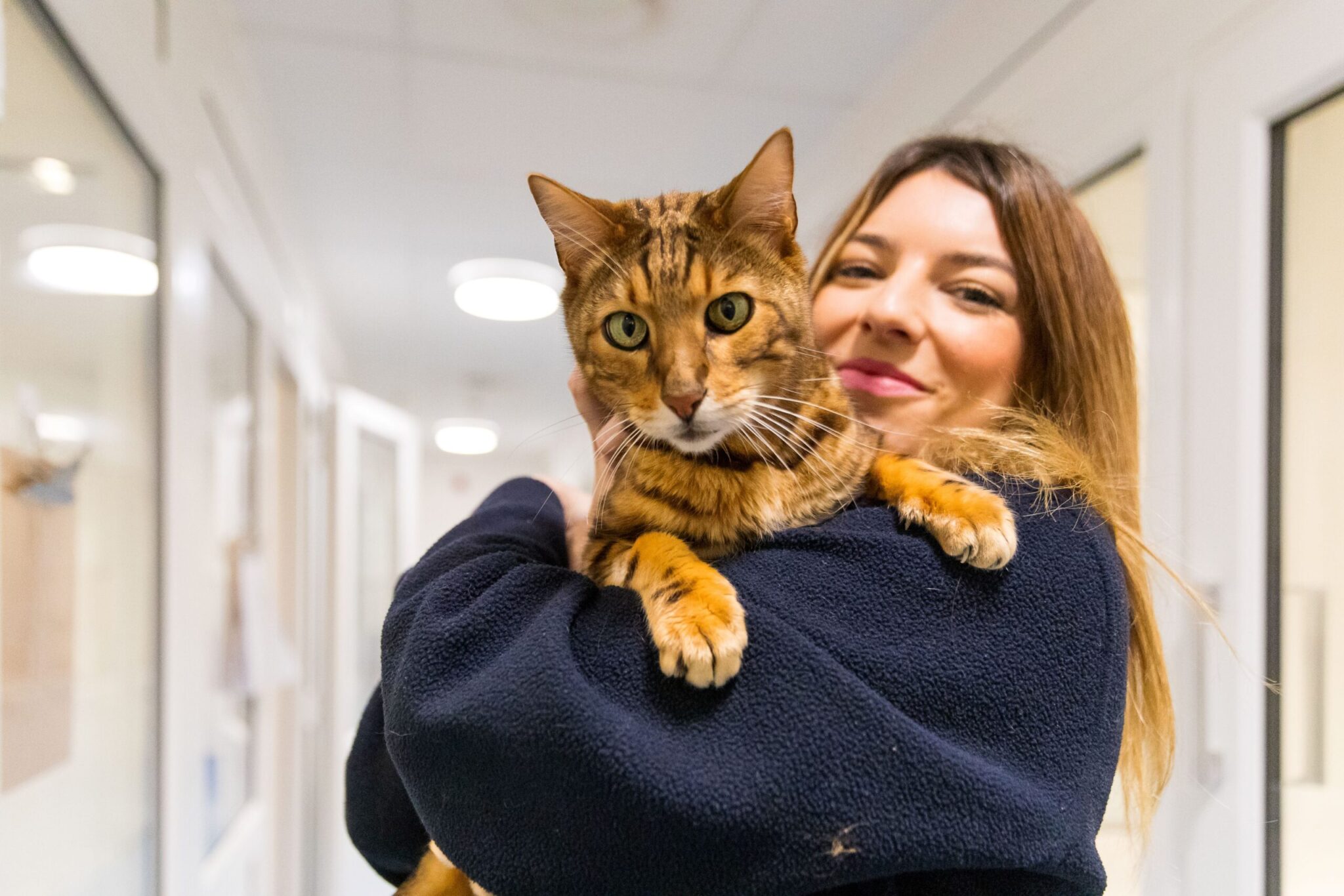 Cat in the arms of a carer, the cat is looking at the camera